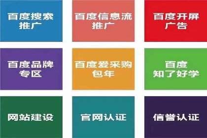 网站sem托管案例分享：如何精准投放广告